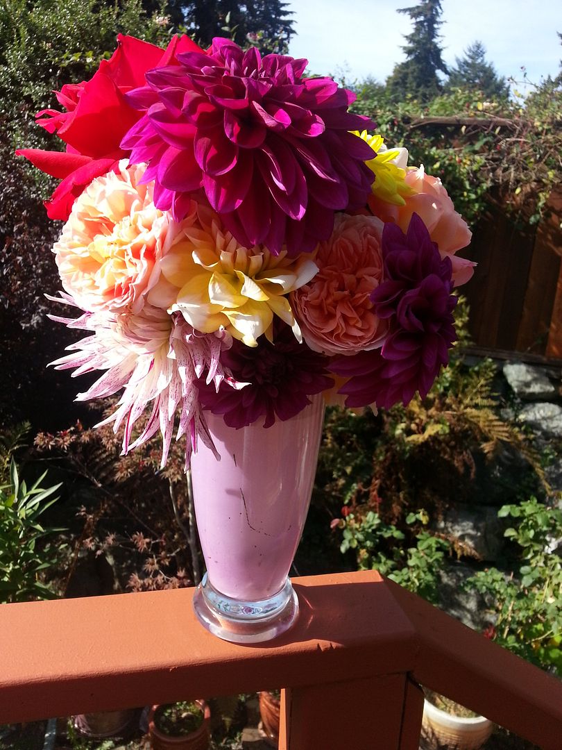  photo 20141003_112540_zpsxuqunduy.jpg